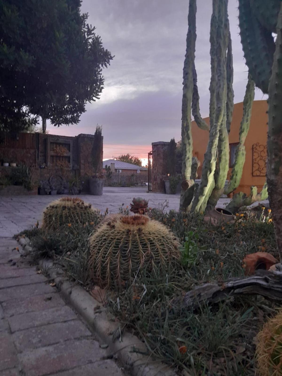 Villa Contessa Beaufort West Bagian luar foto