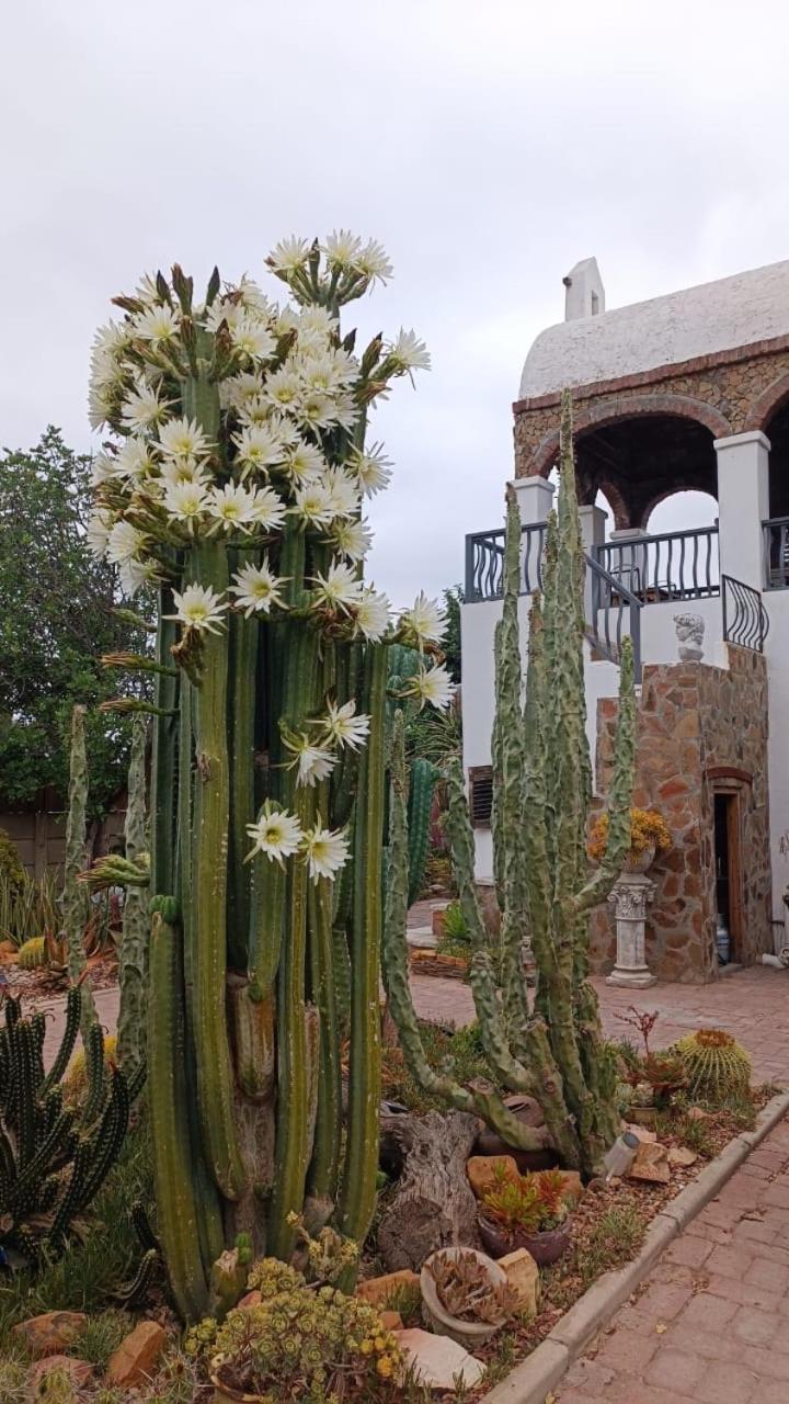 Villa Contessa Beaufort West Bagian luar foto